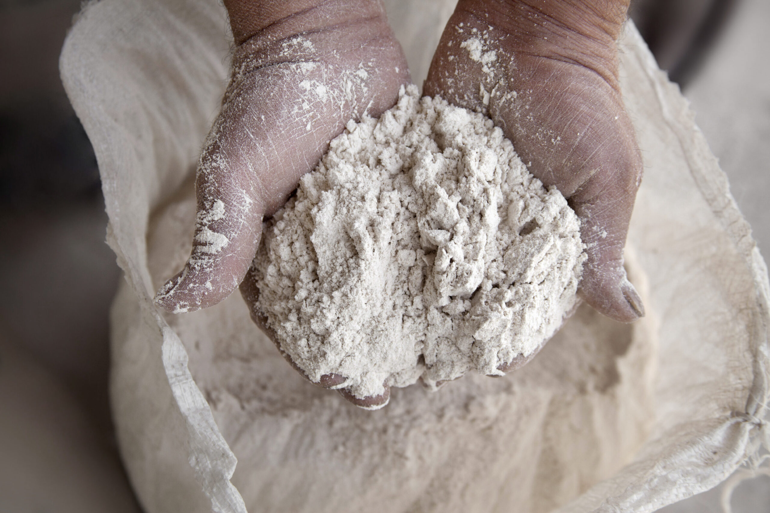 Fabriquant de saveurs au blé tendre, épeautre, sarrasin, de moutarde et et farine