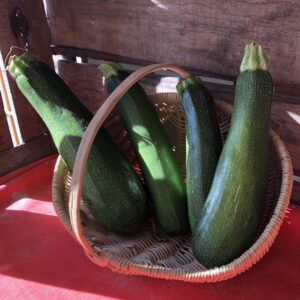 Courgette bio*
